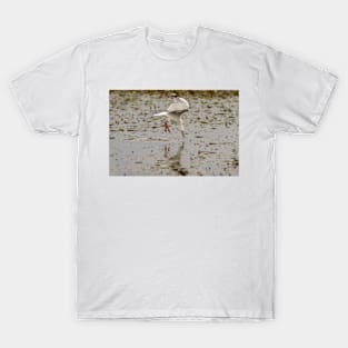 Gull Fishing 01 T-Shirt